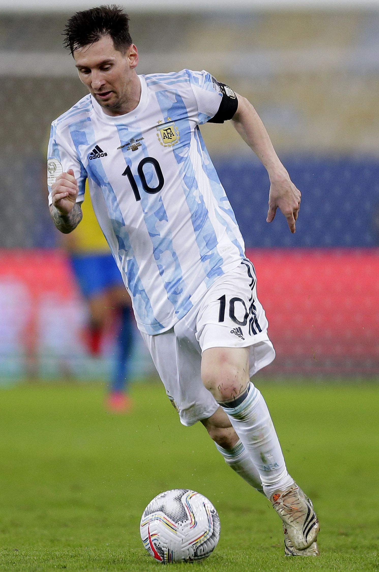 森林狼本场 森林狼本场