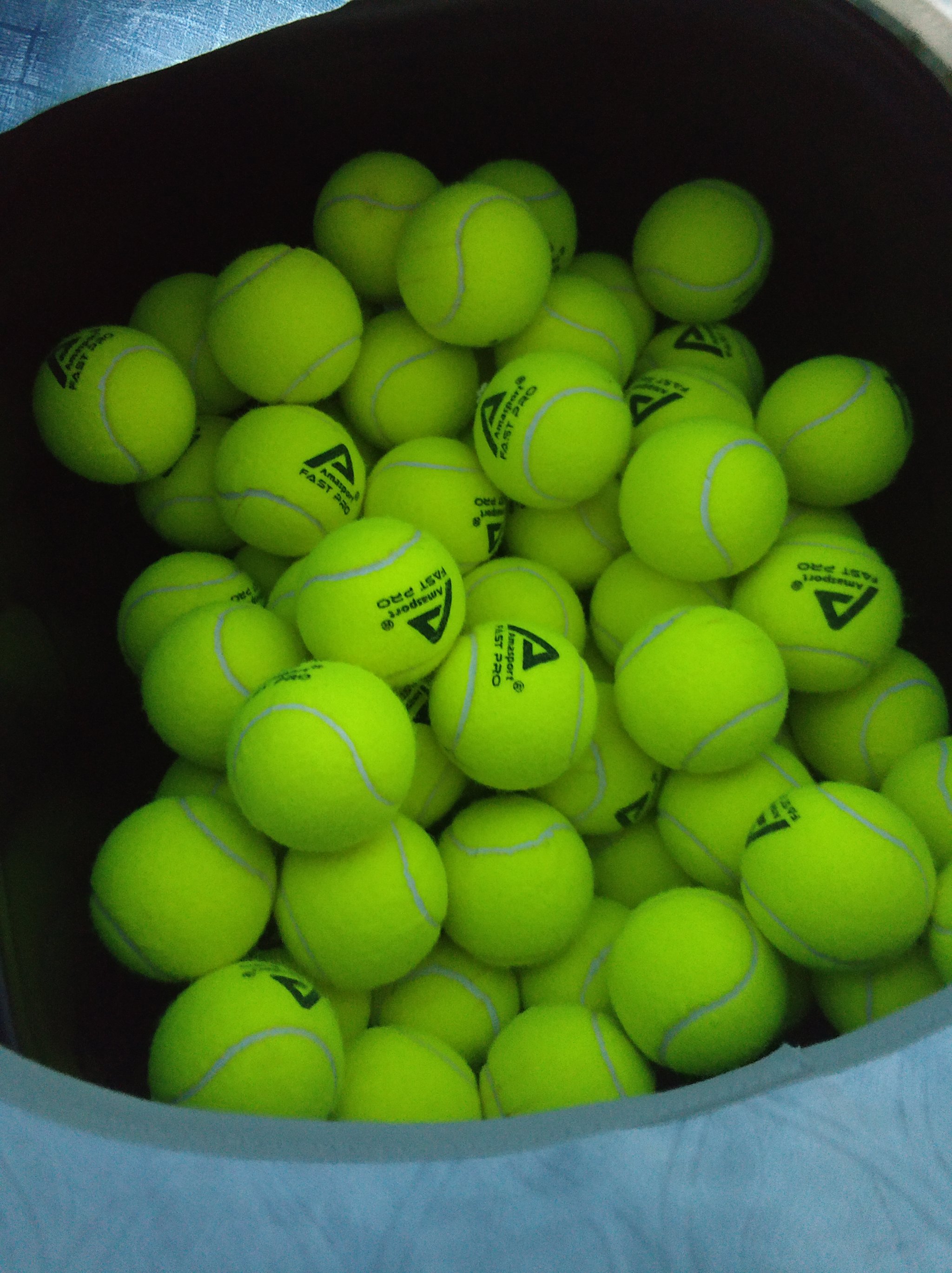 训练支持与 训练支持与